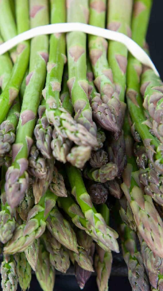 जाणून घ्या शतावरीचे गुणधर्म  आणि फायदे!