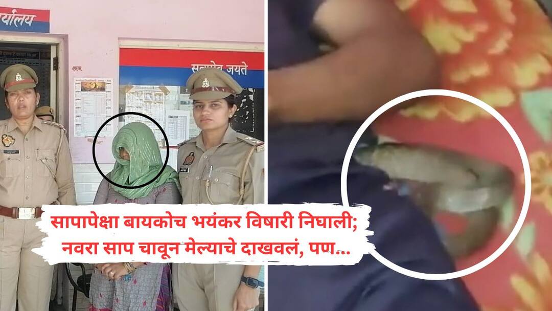 Meerut Snake Bite Case Wife killed husband then got him bitten by a snake 10 times along with her boyfriend Meerut Snake Bite Case : बायकोनं बॉयफ्रेंडच्या मदतीनं नवऱ्याचा अंथरुणात गळा दाबला; मृतदेहाखाली हजार रुपयाचा साप विकत आणून ठेवला, तब्बल 10 वेळा निष्प्राण देहाला चावला