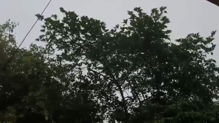 আবহাওয়া দফতর আগেই জানিয়েছিল, বৈশাখের শুরুতেই বৃষ্টির সম্ভাবনা। গাঙ্গেয় পশ্চিমবঙ্গের ওপর দিয়ে গেছে অক্ষরেখা।