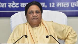 सपा सांसद राम गोपाल यादव के बयान पर मायावती की प्रतिक्रिया, BSP चीफ ने बताया शर्मनाक