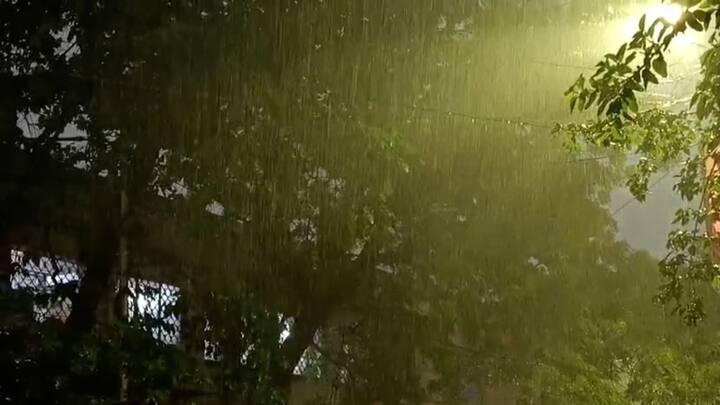 আবহাওয়া দফতর দফতর আরও জানিয়েছে, উত্তরবঙ্গেও শনিবার পর্যন্ত বৃষ্টি চলবে। তাপমাত্রার খুব একটা হেরফের হবে না।