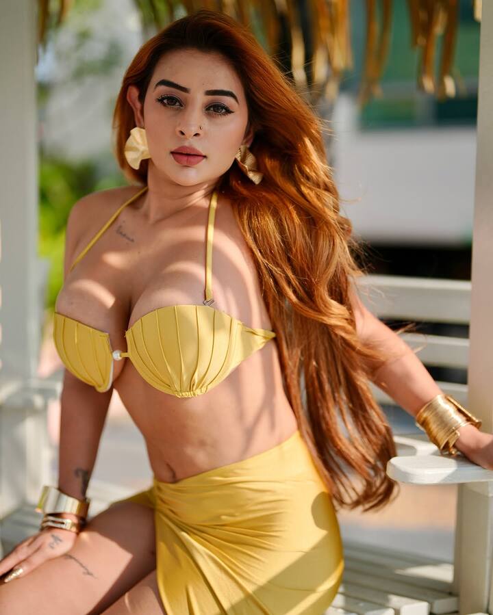 અભિનેત્રીનું કર્વી ફિગર અને હોટનેસ કોઈને પણ દિવાના બનાવી શકે છે. તેની તસવીરો સોશિયલ મીડિયા પર ધૂમ મચાવી રહી છે.