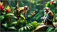 इंसानों के अलावा जानवर भी करते हैं हंसी-मजाक, क्या आप जानते हैं ये बात