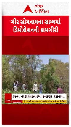 Gir Somnath News : เชเซเชฐ เชธเซเชฎเชจเชพเชฅเชฎเชพเช เชเซเชฐเชเชพเชฏเชฆเซ เชฆเชฌเชพเชฃเซ เชชเชฐ เชซเชฐเซ เชตเชณเซเชฏเซเช เชฌเซเชฒเชกเซเชเชฐ