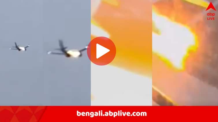 বিমানের ইঞ্জিনে ঢুকে গেল খরগোশ, মাঝ আকাশেই দাউদাউ করে আগুন, ভিডিও ভাইরাল