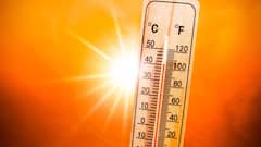 Maharashtra Temperature today: महाराष्ट्र तापला! अकोल्यात 44.1°, पुण्यात 41.2 अंश, तुमच्या शहरात पारा किती? Photos