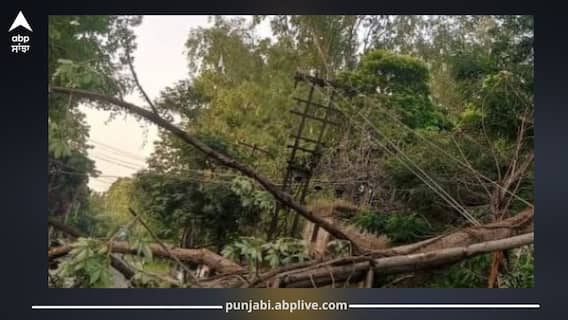 Punjab Weather: ਪੰਜਾਬ ’ਚ 2 ਦਿਨਾਂ ਤੱਕ ਮੀਂਹ ਦਾ ਅਲਰਟ, ਰਾਤ ਨੂੰ 40 ਕਿਮੀ ਪ੍ਰਤੀ ਘੰਟਾ ਰਫ਼ਤਾਰ ਨਾਲ ਚੱਲੀਆਂ ਹਵਾਵਾਂ, ਫਿਕਰਾਂ 'ਚ ਪਏ ਕਿਸਾਨ