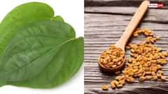 Health: પાનના પત્તા સાથે મેથી ભેળવીને ખાવાથી દૂર થશે આ સમસ્યાઓ, જાણો ખાવાની રીત...