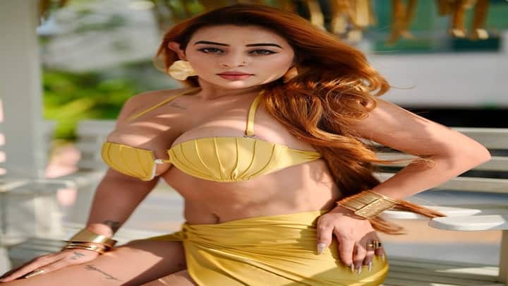 Ankita Dave PHOTO: પોતાના બોલ્ડ ફોટો અને બિકીની લુકથી લોકોને દિવાના બનાવનાર અંકિતા દવે આ દિવસોમાં પોતાની ગ્લેમરસ તસવીરોને કારણે ચર્ચામાં છે.