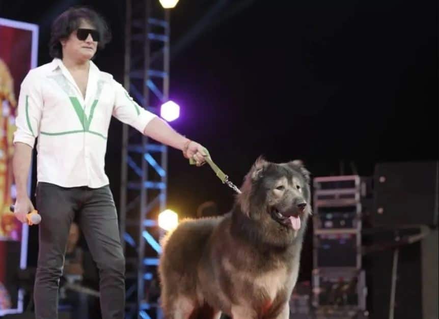 ED reaches the house of the person who bought a dog worth 50 crores 50 ਕਰੋੜ ਦਾ ਕੁੱਤਾ ਖਰੀਦਣ ਵਾਲੇ ਦੇ ਘਰ ਪਹੁੰਚੀ ED, ਜਾਂਚ ਦੌਰਾਨ ਹੋਏ ਹੈਰਾਨ ਕਰਨ ਵਾਲੇ ਖ਼ੁਲਾਸੇ, ਜਾਣੋ ਪੂਰਾ ਮਾਮਲਾ