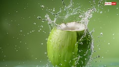 यूरिन इन्फेक्शन होने पर खाएं ये चीजें, दर्द और जलन से मिलेगा आराम