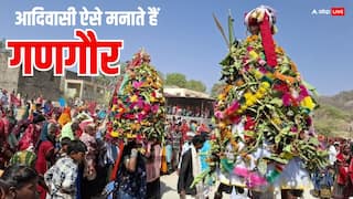 Gangaur 2025: आदिवासी जनजाति में अनोखे अंदाज में होता है गणगौर मेला, ये है विशेषता