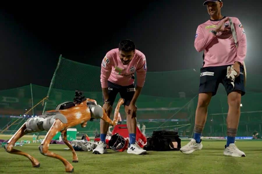 दौड़ता है, कूदता है और हार्ट भी बनाता है', IPL 2025 में एंटरटेनमेंट का तड़का लगा रहा है ये कैमरा डॉग, जानें इसके बारे में रोचक बातें