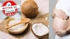 Myths Vs Facts: क्या वाकई प्रेग्नेंसी में नारियल खाने से गोरा बच्चा पैदा होता है? जान लीजिए इसमें कितनी सच्चाई