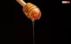 ਮੱਛਰ ਦੇ ਕੱਟਣ ਕਾਰਨ ਚਮੜੀ ਹੋ ਗਈ ਖ਼ਰਾਬ ? ਲਾਲ ਧੱਬੇ ਹਟਾਉਣ ਲਈ ਕੰਮ ਆਉਣਗੇ ਇਹ ਘਰੇਲੂ ਨੁਸਖੇ