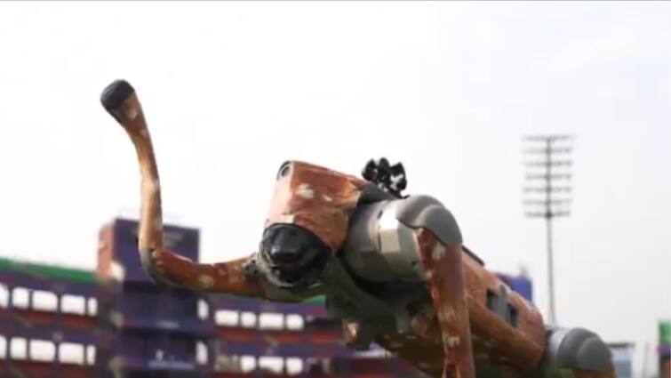 IPL 2025 Robotic dog seen with Hardik Pandya and Dhoni what is this new technology
