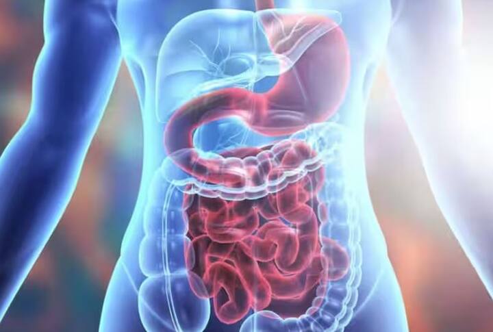 ਜੇ ਤੁਹਾਨੂੰ ਗੈਸ, ਬਦਹਜ਼ਮੀ, ਪੇਟ ਫੁੱਲਣਾ ਜਾਂ ਕਬਜ਼ ਵਰਗੀਆਂ ਸਮੱਸਿਆਵਾਂ ਹਨ, ਤਾਂ ਇਲਾਇਚੀ ਚਬਾਉਣ ਨਾਲ ਰਾਹਤ ਮਿਲ ਸਕਦੀ ਹੈ।