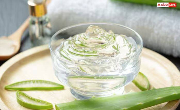 ਐਲੋਵੇਰਾ ਵਿੱਚ ਸੋਜ-ਵਿਰੋਧੀ ਅਤੇ ਚਮੜੀ ਨੂੰ ਠੰਢਾ ਕਰਨ ਵਾਲੇ ਗੁਣ ਹੁੰਦੇ ਹਨ। ਇਹ ਮੱਛਰ ਦੇ ਕੱਟਣ ਤੋਂ ਬਾਅਦ ਬਣੇ ਧੱਬਿਆਂ ਨੂੰ ਹਲਕਾ ਕਰਨ ਵਿੱਚ ਮਦਦ ਕਰਦਾ ਹੈ।