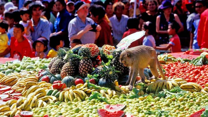 कोरोना काल में इस त्योहार का आयोजन नहीं किया जा सका था. लेकिन फिर साल 2022 में इसे फिर से आयोजित किया गया था.
