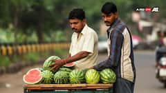 यूरिन इन्फेक्शन होने पर खाएं ये चीजें, दर्द और जलन से मिलेगा आराम