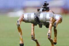 IPL 2025: हार्दिक पांडेया-धोनी संग ग्राउंड पर मस्ती करता दिखा रोबोटिक डॉग, क्या है ये नई टेक्नोलॉजी, जानिए