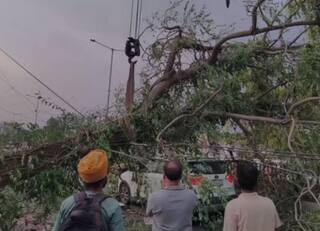 Heavy Storm in Punjab | ਪੰਜਾਬ 'ਚ ਤੇਜ਼ ਮੀਂਹ ਹਨੇਰੀ ਨੇ ਮਚਾਇਆ ਕਹਿਰ! ਕਈ ਥਾਵਾਂ 'ਤੇ ਹੋਏ ਗੜ੍ਹੇਮਾਰੀ