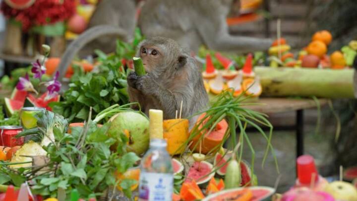 इस आयोजन में लाखों रुपये का खर्चा आता है. वहां के लोग बताते हैं कि उन्होंने अपने घर के बुजुर्गों से सुना है कि इसकी शुरुआत एक व्यापारी ने की थी.