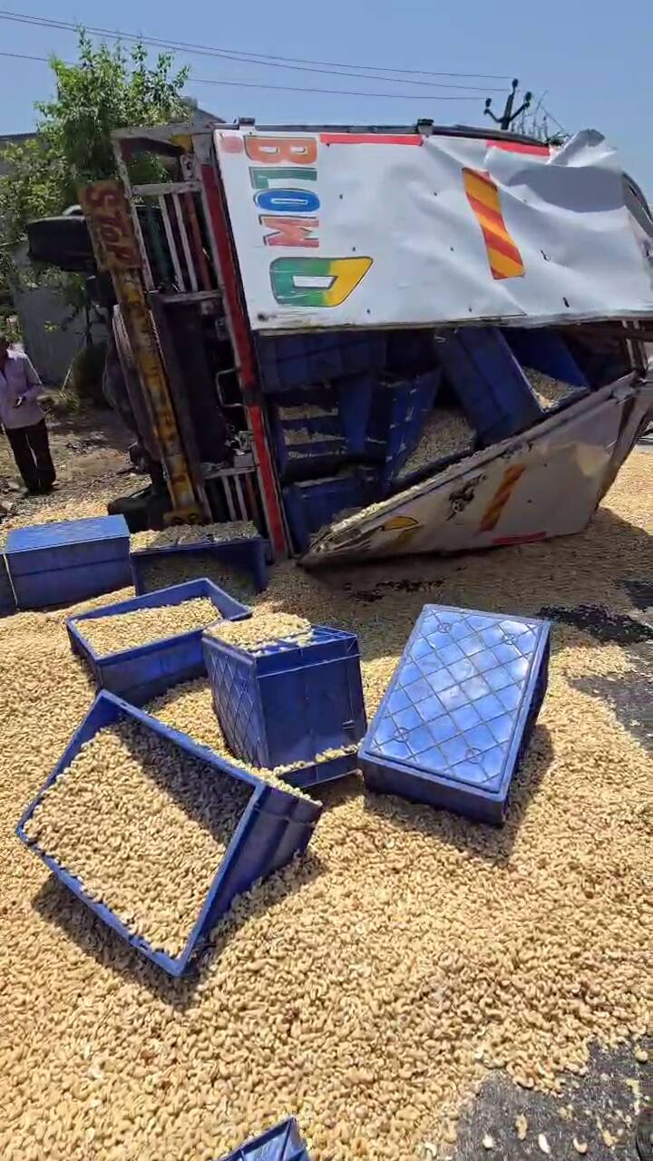 ટેમ્પો પલટી મારી જતા તેમાં ભરેલા કાજુના કેરેટ રોડ પર વેરવિખેર થઈ ગયા હતા અને હજારો કિલો કાજુ રોડ પર પથરાયા હતા.