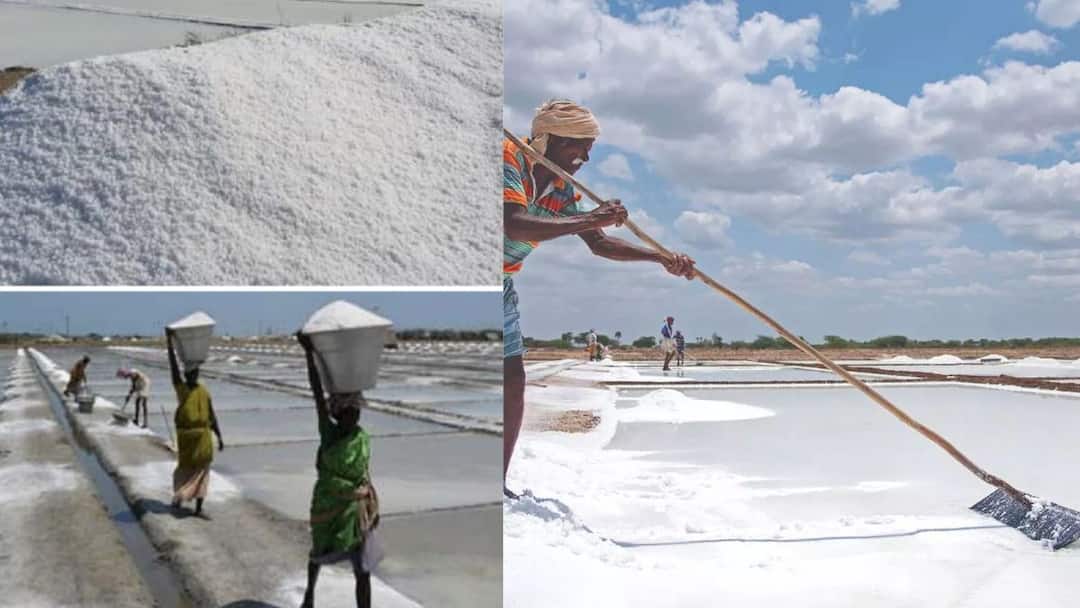 Thoothukudi: தூத்துக்குடிக்கு இந்த நிலையா..! பற்றாக்குறை, 40,000 டன் உப்பு இறக்குமதி - வரலாறே இல்லையே..!