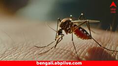 মশার কামড় থেকে ভয়ানক সংক্রমণ ! হাঁটার শক্তিও নেই; হাসপাতালে ভর্তি হতে হল ৯ বছরের মেয়েকে