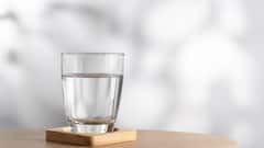 World Liver Day 2025 — 6 Simple Habits To Keep Your Liver Healthy And Strong