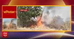 Breaking: Forest Fires Break Out in Parts of India Amid Intense Heatwave | ABP NEWS