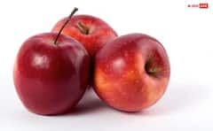 ਗਰਮੀਆਂ ਵਿੱਚ ਆਉਣ ਵਾਲੇ ਇਨ੍ਹਾਂ ਫਲਾਂ ਨੂੰ ਬੇਫਿਕਰ ਹੋ ਕੇ ਖਾ ਸਕਦੇ ਨੇ ਸ਼ੂਗਰ ਦੇ ਮਰੀਜ਼, ਕਰ ਲਓ ਨੋਟ