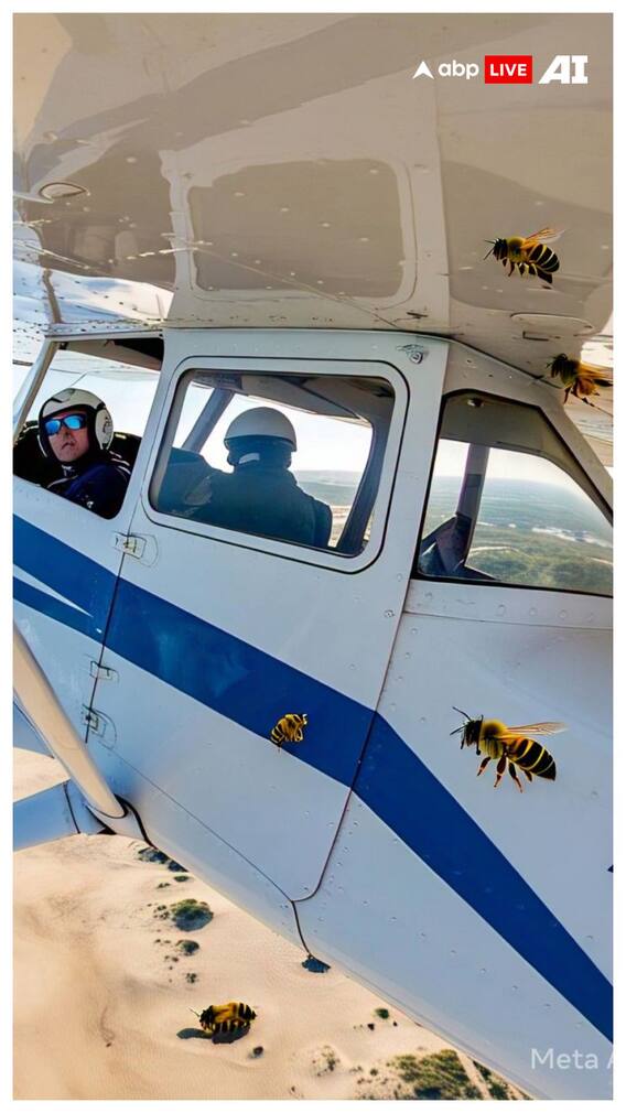 पनामा पर गंदी मक्खियां क्यों गिराता है अमेरिका