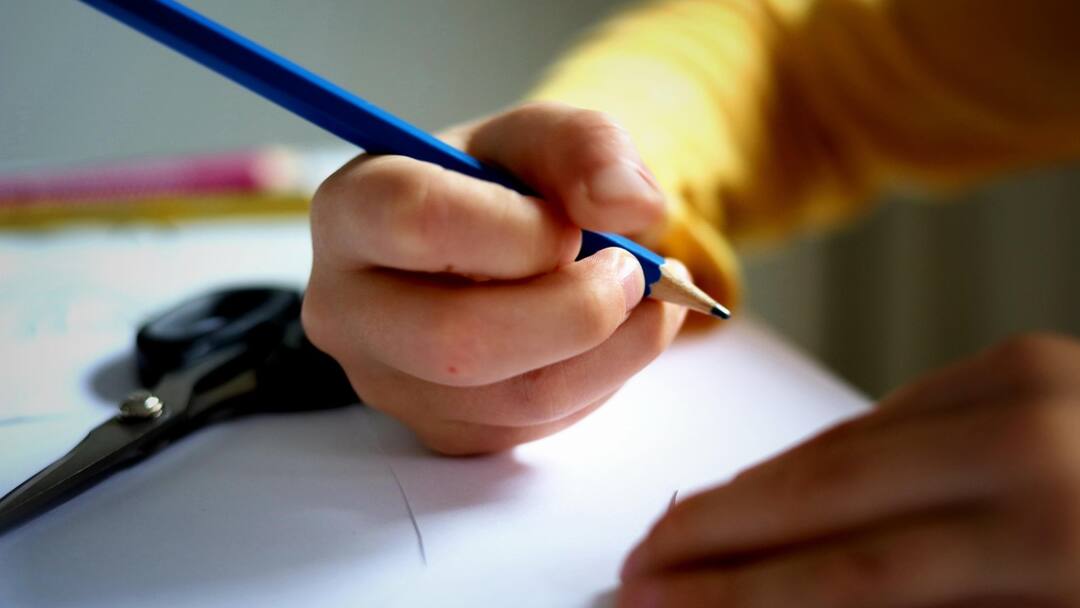 Kerala Govt To Publish Diary Entries Of Class 1 Students In Kurunnezhuthukal Book Kerala Govt To Publish Diary Entries Of Class 1 Students In Book Titled 'Kurunnezhuthukal'