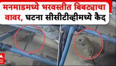 Manmad Leopard Video : मनमाडमध्ये भरवस्तीत बिबट्याचा वावर, घटना सीसीटीव्हीमध्ये कैद