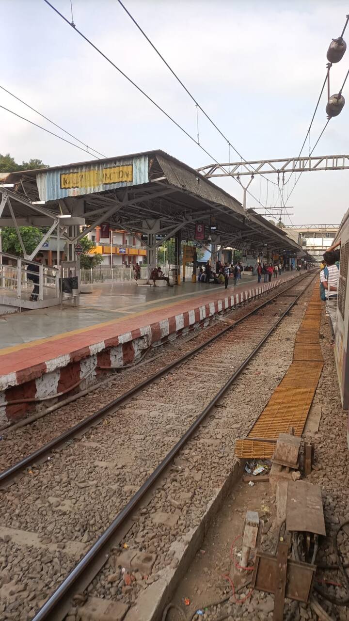 रेल्वे ट्रॅक बाजूला पोकलेन वापरून एक काम सुरू होते, त्या पोकलेनचा धक्का सिग्नल यंत्रणेच्या वायरला लागला, त्यामुळे सिग्नल बंद पडले, याचाच फटका मुंबईकडे येणाऱ्या वाहतूकीला बसला आहे.