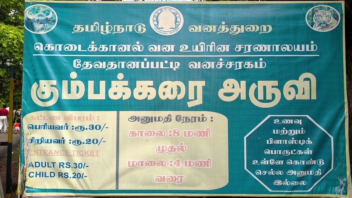 கொளுத்தும் வெயிலுக்கு இதமாக ஒரு குளியல்.. கும்பக்கரை அருவியில் குவிந்த சுற்றுலா பயணிகள்