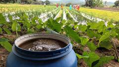 Seeds Of Sustainability — Promoting Improved Farming Practices