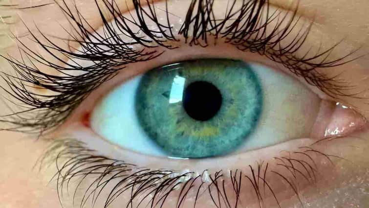 Scientists new discovery A new color Olo was found that human eyes have never seen