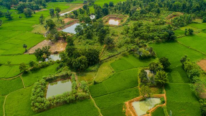 Climate Resilience: Indigenous farming systems, coupled with modern practices is the way forward in building climate resilience, making farms more adaptable to erratic weather patterns and promoting sustainable farming (Image Source: Special Arrangement)