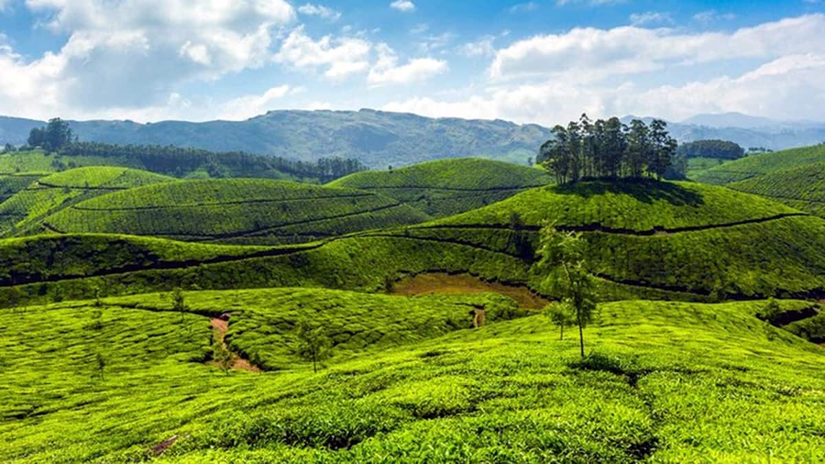 ஹாலிடே டூர் போறீங்களா? அப்ப இங்க போங்க.. செமையா இருக்கும்..!