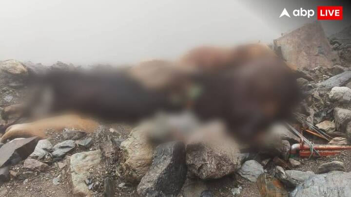 पिछले 24 घंटे से जम्मू-कश्मीर में लगातार हो रही बारिश और तेज हवाओं के कारण कई इलाकों में काफी ज्यादा नुकसान हुआ है. अधिकारियों ने चेतावनी जारी करते हुए लोगों को फिलहाल सड़क मार्ग से यात्रा न करने की सलाह दी है.