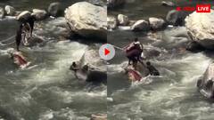 पानी की लहरों के बीच सेल्फी बनी जान की दुश्मन! तेज बहाव के बीच फंसे शख्स को देख लाल हो जाएंगे गुर्दे