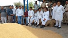 किसानों और आढ़तियों से भी मिले रणदीप सुरजेवाला, मंडियों में गेहूं सड़ रहा और सीएम हेलीकॉप्टर में घूम रहे