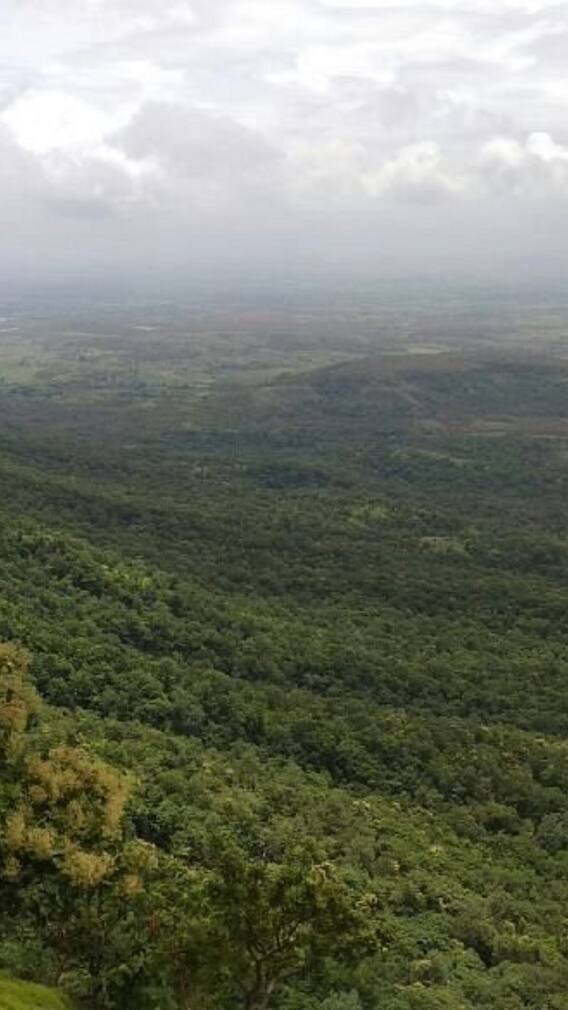 छत्तीसगढ़ का कोंडागांव बना ट्रैवलर्स की नई पसंद, शांति और रोमांच का है परफेक्ट मेल