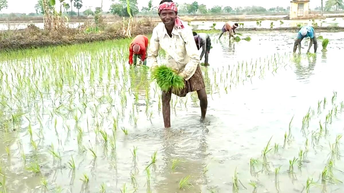தமிழக விவசாயிகளை அச்சுறுத்தும் வடமாநில தொழிலாளர்கள்.. இது எங்க போய் முடியுமோ..?
