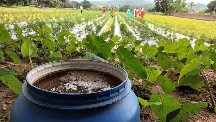 Livelihood Empowerment through Grassroots Innovation: Improved farming techniques, like mixed cropping, natural composting, and seed preservation, are empowering farmers at the grassroots. By blending traditional knowledge with innovative, low-cost tools and sustainable agricultural practices, there is bio-diversity and improved yields. (Image Source: Special Arrangement)