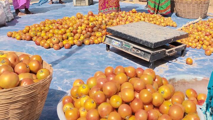 Championing Women Farmers and Farmer Producer Organizations (FPOs): Women FPOs are being instrumental in building supply chain in regional markets, procuring quality seeds, introducing high value crops and empowering women farmers. (Image Source: Special Arrangement)