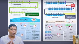 'सोरायसिस' बीमारी पर पतंजलि का शोध विश्व प्रसिद्ध जर्नल में छपा, रंग लाई वैज्ञानिकों की मेहनत